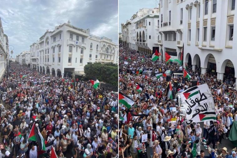 تظاهرة غزة الدعم الرباط.