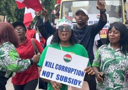 زيادة الأجور نيجيريا، إضراب عام