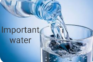 يعتبر الماء من أهم العناصر الأساسية التي يحتاجها الجسم