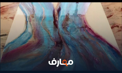 653e6dd8c516c
