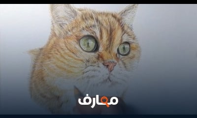ورش عمل تعلم الرسم للمبتدئين course preview