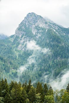 wedti - Free courses with accredited certificates 14 Fundamentals of Gemini CLI course preview