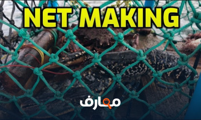إصلاح شباك الصيد course preview