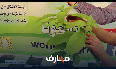 دليل زراعة الأفوكادو الشامل course preview