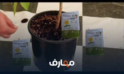 استراتيجيات علاج اصفرار وضعف النباتات course preview