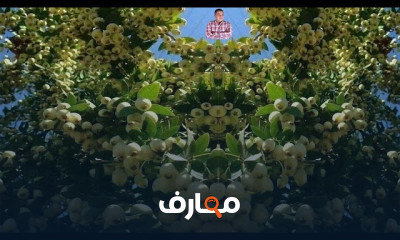 دليل شامل لزراعة الجوافة course preview