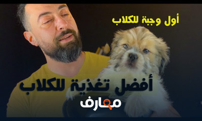 دليل تربية الكلاب في المنزل للمبتدئين course preview