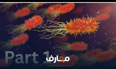 أساسيات علم الأحياء الدقيقة في الصيدلة course preview