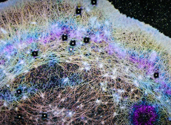 Scientists Uncover Hidden 'Winds' in Cells That May Explain Cancer Metastasis