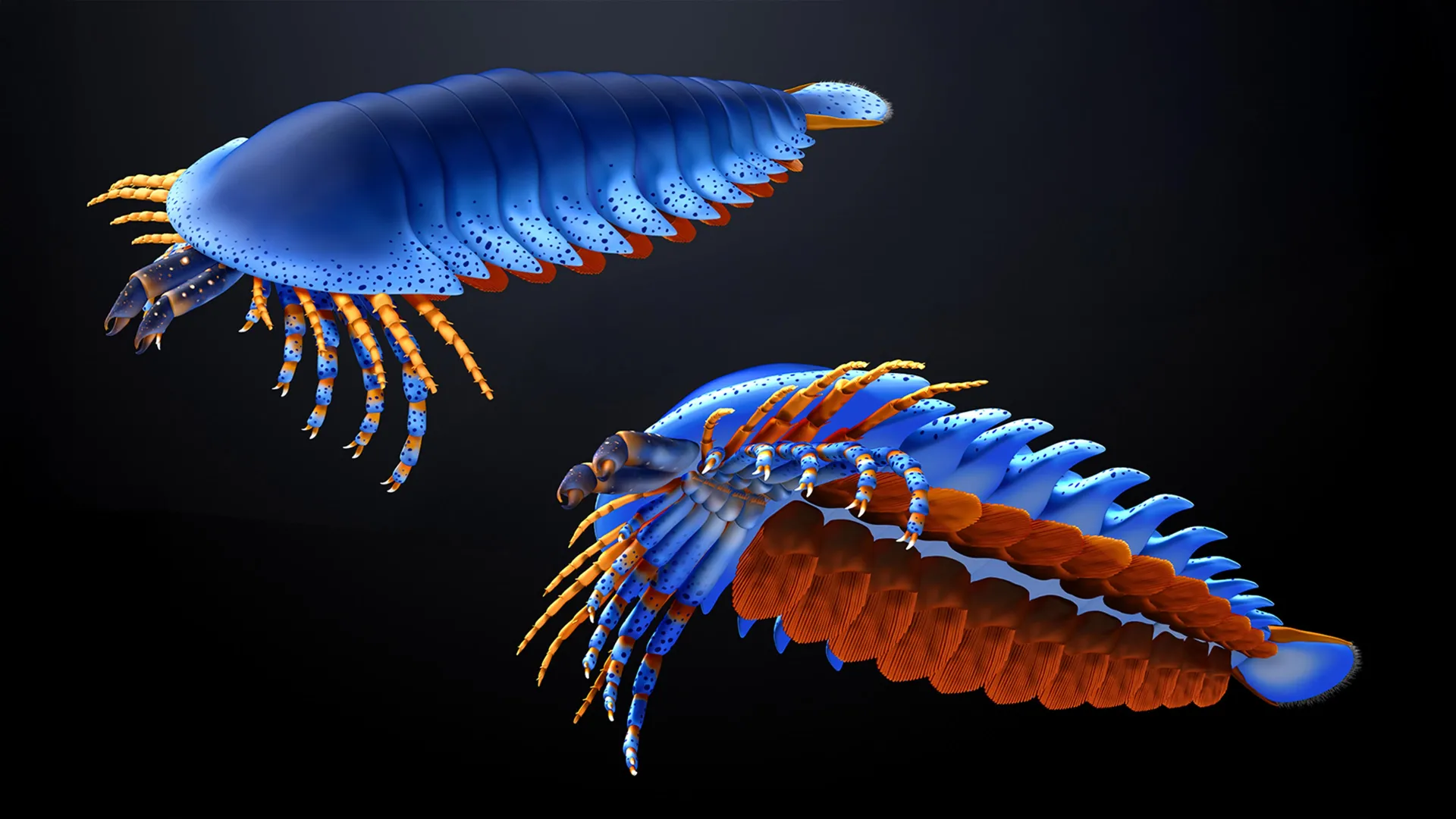 Ancient Claw Discovery: 500-Million-Year-Old Fossil Sheds New Light on Spider Evolution!