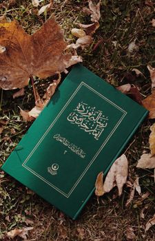 إتقان التجويد والتحفيظ course preview