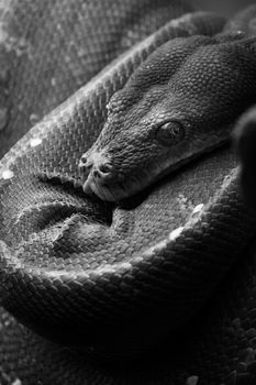 احتراف لغة Python للمبتدئين 2026 course preview