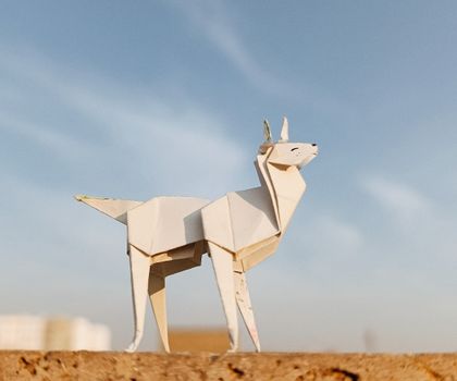 Crafting Realistic Origami Dogs course preview