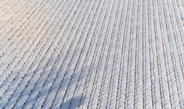 زراعة الخضروات على الأسطح المنزلية course preview