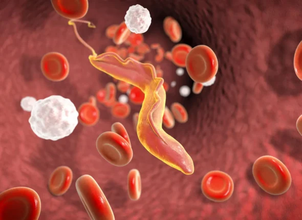 Scientists discover “molecular shredder” that helps deadly parasite evade the immune system