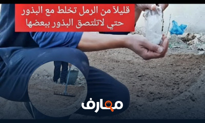 زراعة الخضروات الورقية في المنزل course preview