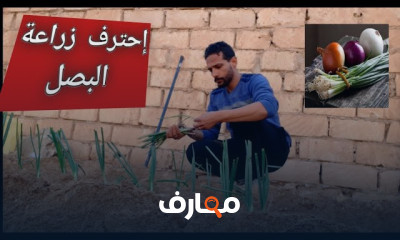 أساليب زراعة البصل course preview