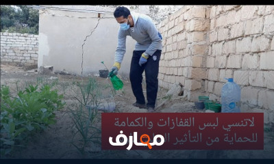 تقنيات فعالة لتسميد النباتات course preview