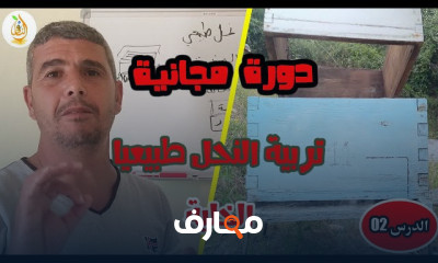 أساسيات تربية النحل للمبتدئين course preview