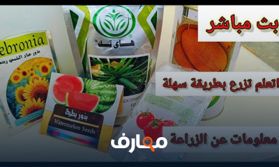 زراعة أشجار الزينة من البذور course preview