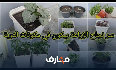 اختيار التربة المثالية للزراعة course preview