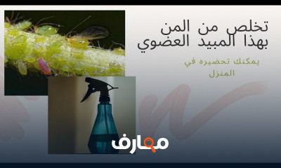 دليل زراعة البصل والثوم من البذور course preview