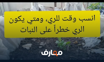 توقيت الري المثالي للنباتات course preview