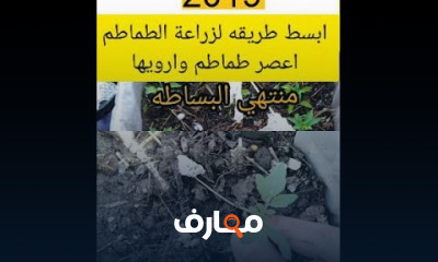 أساسيات زراعة الخضروات في المنزل course preview