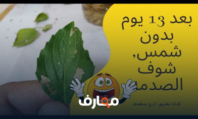 مبادئ زراعة نباتات الزينة course preview