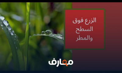 زراعة الخضروات على الأسطح course preview
