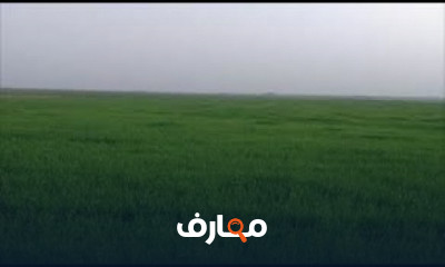 مبادئ زراعة القمح course preview