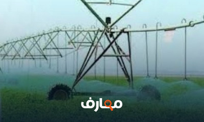 دليل شامل لزراعة البطاطس course preview