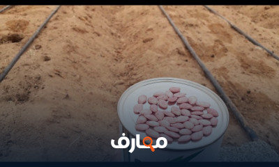 تقنيات زراعة الكوسة المتسلقة course preview