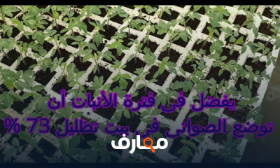 أسس إنشاء وإدارة المشتل الزراعي course preview