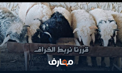 إدارة مشروع تربية الخرفان course preview