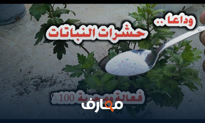 علاج الأمراض النباتية في المنزل course preview