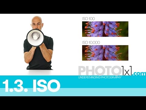 Mastering ISO in Photography course preview