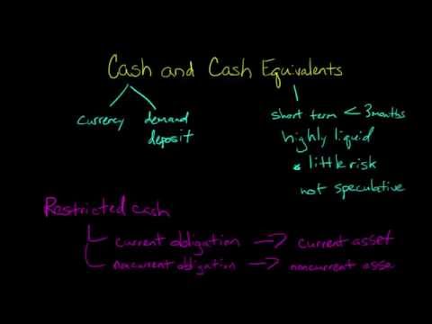 Understanding Cash Receivables and Prepaid Expenses course preview