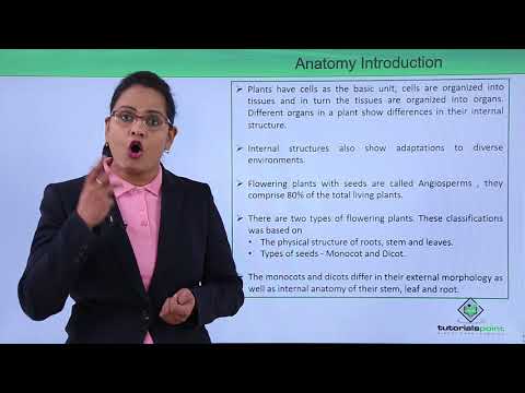Understanding the Anatomy of Flowering Plants course preview