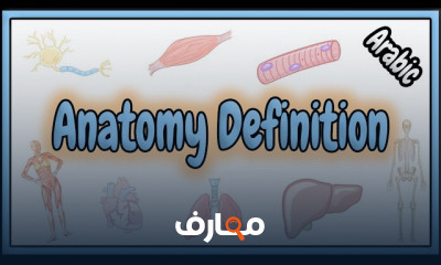 أساسيات علم التشريح course preview