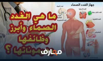 تشريح جسم الإنسان: دراسة شاملة للأنظمة البشرية course preview