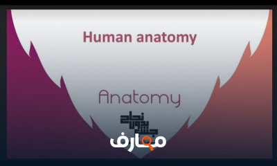 أسس الطب الطبيعي course preview