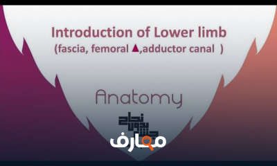 تقنيات العلاج الطبيعي المتقدمة course preview
