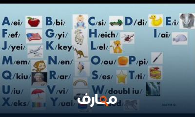 مفردات اللغة الإنجليزية course preview