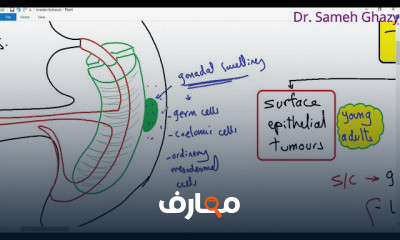 نظام الأعضاء التناسلية الأنثوية course preview