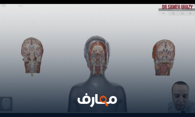 مقدمة شاملة في علم التشريح course preview