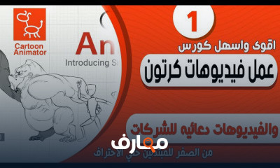 إنتاج أفلام الكرتون والفيديوهات الترويجية course preview