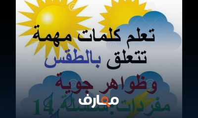 تعلم المفردات الأساسية في اللغة الإنجليزية course preview
