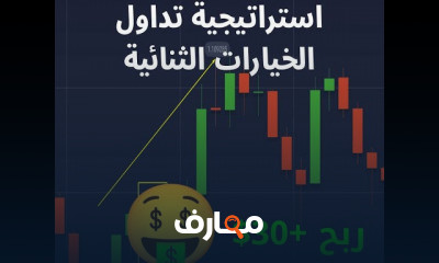 استراتيجية التداول الاحترافي: من المبتدئ إلى المحترف course preview