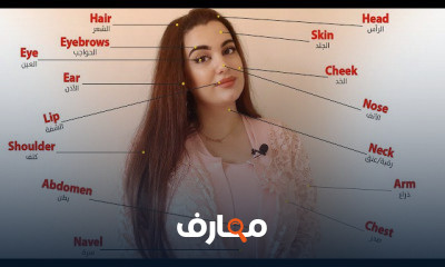 تعلم أسماء أجزاء جسم الإنسان باللغة الإنجليزية course preview